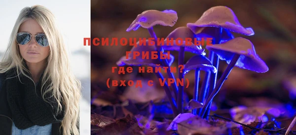 кокс Елизово