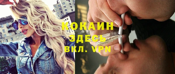 прущая мука Ельня