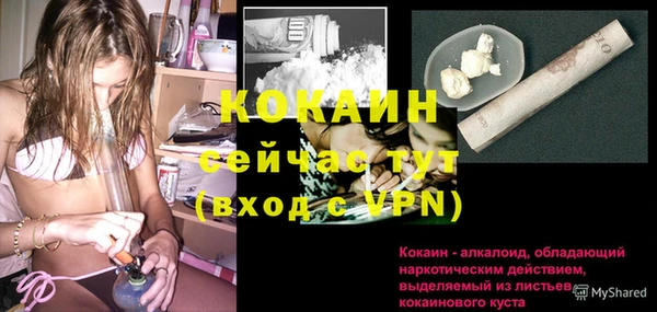 прущая мука Ельня