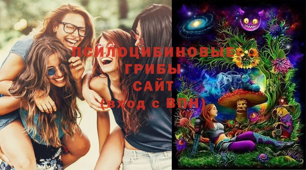 гашик Елабуга