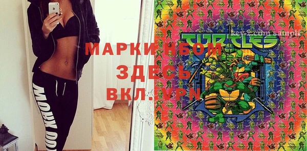 кокс Елизово