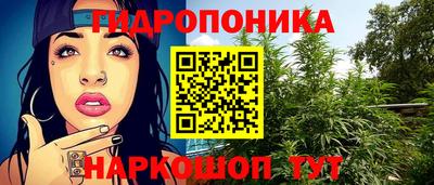 спиды Шебекино