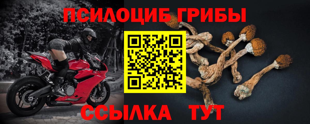 Батайск  Галлюциногенные грибы Psilocybe  Вход с VPN 